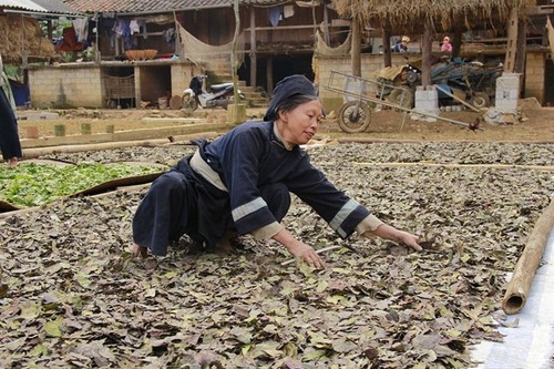 ヌン族の伝統的な線香製造職業 - ảnh 2