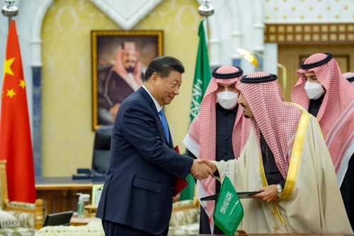 中国アラブ関係、強化 - ảnh 1