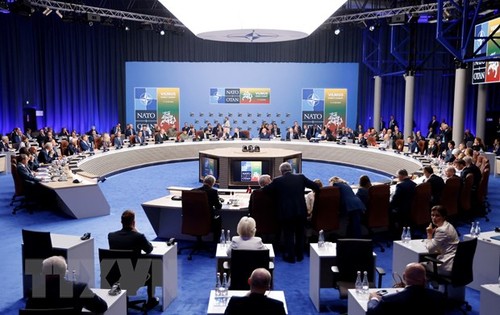 NATO首脳会議をめぐる問題 - ảnh 1