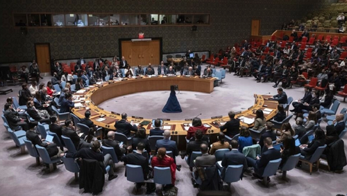 国連安保理がガザ支援決議を採択 - ảnh 1