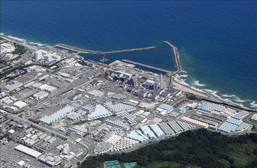 IAEA 福島第一原発の処理水放出開始後 2回目の調査始める - ảnh 1