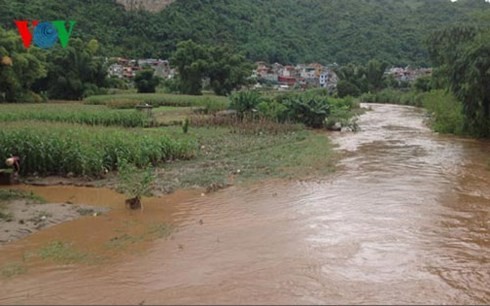 Daerah-daerah di Vietnam Utara  berupaya mencegah dan menanggulangi hujan dan banjir. - ảnh 1