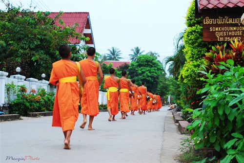 Ibukota kuno Luang Prabang dengan program  konservasi  pusaka - ảnh 7