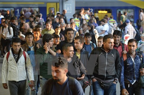 PBB  memperingatkan bahaya “situasi menggantung” terhadap kaum migran di Eropa - ảnh 1