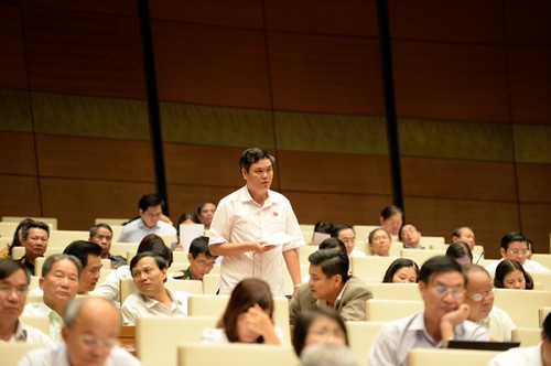 MN Vietnam membahas  Rancangan Kitab Undang-Undang Hukum Pidana (amandemen) - ảnh 1