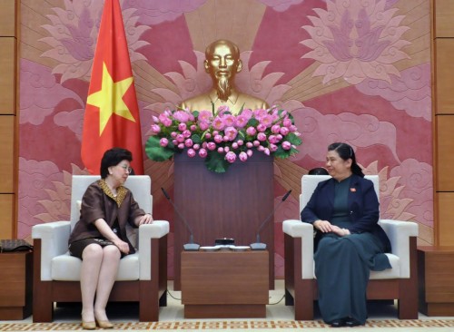Wakil Ketua MN Vietnam, Tong Thi Phong menerima Direktor Jenderal WTO, Margaret Chan - ảnh 1