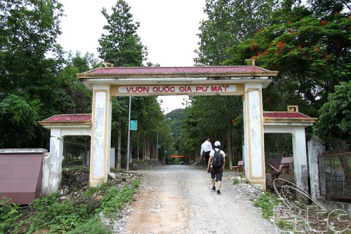 Menguak tabir Taman Nasional Pu Mat, provinsi Nghe An - ảnh 1