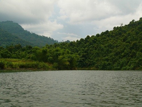 Menguak tabir Taman Nasional Pu Mat, provinsi Nghe An - ảnh 3