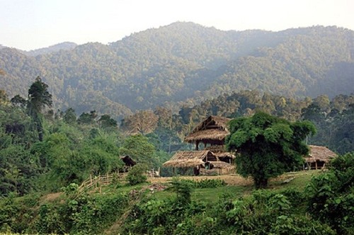 Menguak tabir Taman Nasional Pu Mat, provinsi Nghe An - ảnh 6