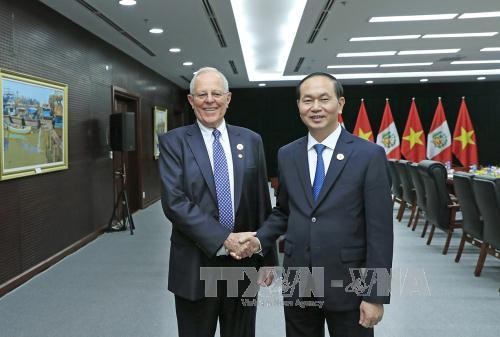 Presiden Vietnam, Tran Dai Quang menemui para pemimpin dari perekonomian- perekonomian APEC sehubungan dengan Pekan Tingkat Tinggi APEC 2017 - ảnh 1