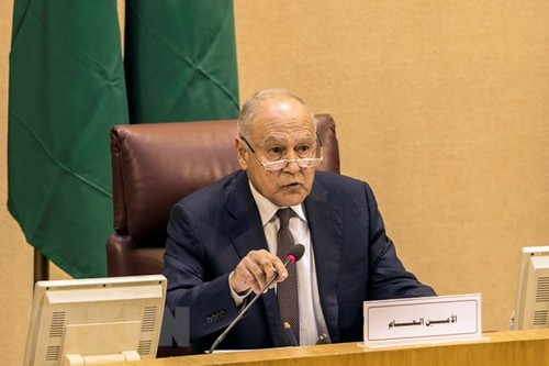 Pemimpin  Liga Arab berseru kepada dunia internasional supaya mencegah pelanggaran Irsrael  terhadap orang Palestina - ảnh 1
