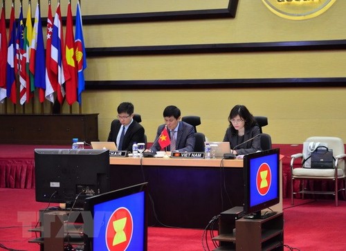 Viet Nam bersama  memimpin sidang  ke-18 Komite Kerjasama Bersama  ASEAN-India - ảnh 1