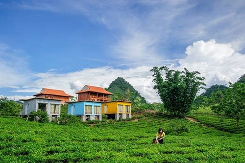 Wisata homestay: Destinasi  yang menarik di Kabupaten Moc Chau - ảnh 1