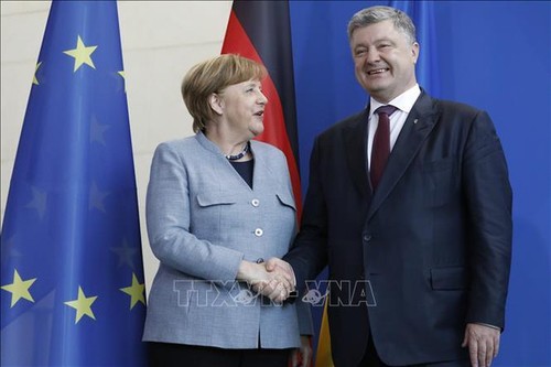 Jerman, Perancis, Ukraina menyambut baik partisipasi Rusia  pada proses politik di  Donbass - ảnh 1