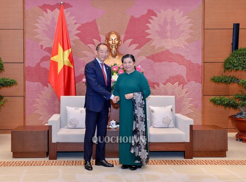 Wakil Harian Ketua MN Tong Thi Phong menerima Direktur WHO urusan Kawasan Pasifik Barat - ảnh 1