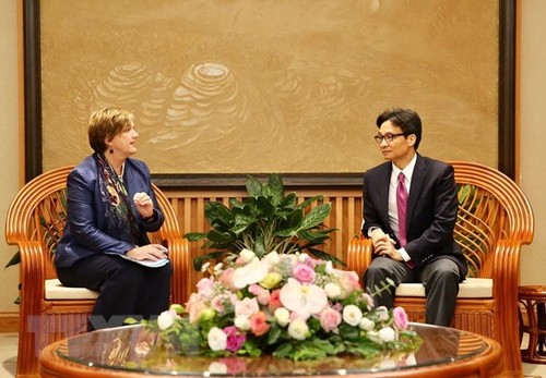 Deputi PM Viet Nam, Vu Duc Dam menerima Kepala Perwakilan UNICEF di Viet Nam - ảnh 1