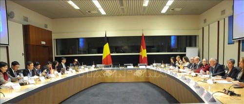 Vietnam dan Belgia  memperkuat kerjasama  ekonomi - ảnh 1