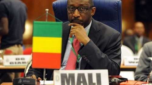 Un plan d'intervention de 5.500 soldats à l'étude pour le Mali - ảnh 1