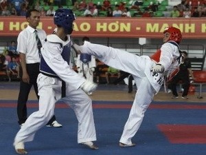 Taekwondo: Le Vietnam arrive 2ème! - ảnh 1