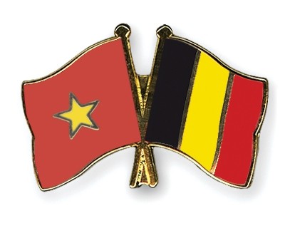 Vietnam, Belgium share experience in security and defense - ảnh 1