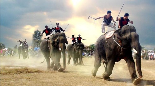 Elephant taming job of the M’Nong - ảnh 3