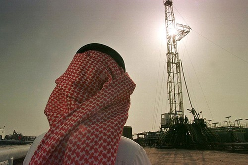 Global economy seeing downward oil price pressure - ảnh 1