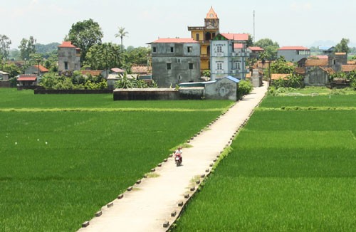 Hanoi reviews 4 years of agricultural and new rural development program - ảnh 1