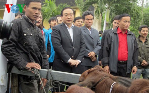 Deputy PM Hoang Trung Hai presents Tet gifts to AO victims in Quang Ngai - ảnh 1
