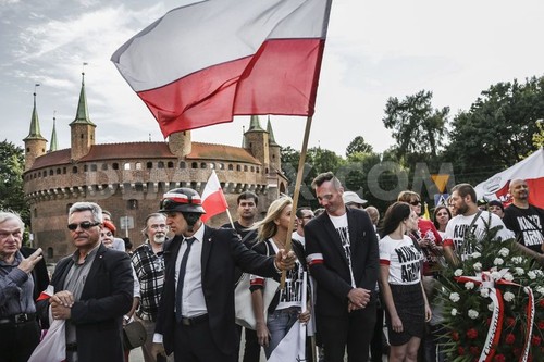Poland celebrates 71st anniversary of Warsaw Uprising - ảnh 1