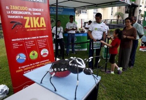 Zika epidemic spreads across South America - ảnh 1