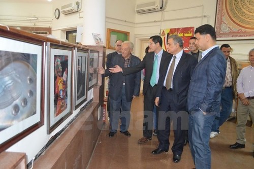 Vietnam photo exhibit opens in Egypt - ảnh 1