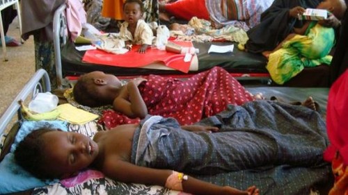 UN provides US$2ml of emergency relief for Somalia to cope with cholera - ảnh 1