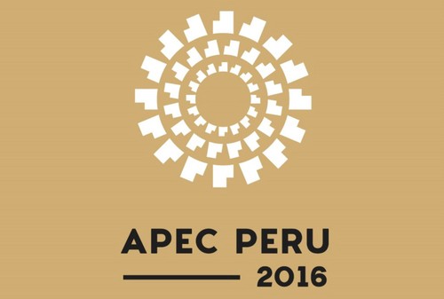APEC summit promotes regional economic connectivity  - ảnh 1