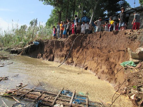   Measures to prevent landslides in the Mekong Delta - ảnh 1