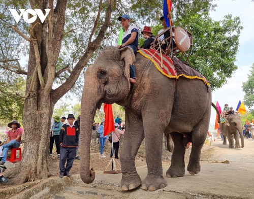 Ceremony to pray for elephants’ health in Dak Lak  - ảnh 1