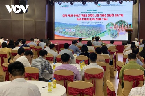 Forum discusses developing value chain of medicinal herbs and ecotourism - ảnh 1