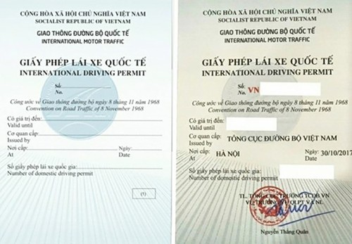 RoK, Vietnam recognise each other's international driving permits - ảnh 1