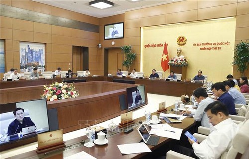 NA Standing Committee debates draft revisions to Social Insurance Law  - ảnh 1