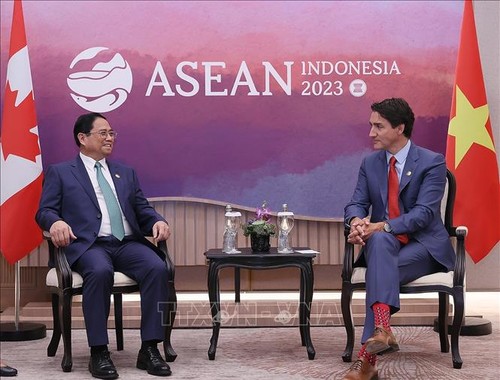 Vietnam enhances multilateral cooperation with Japan, RoK, Canada - ảnh 3