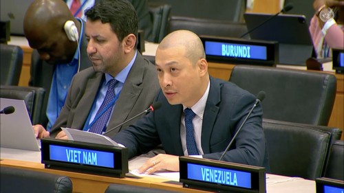 Vietnam joins international community’s effort to obtain SDGs in 2030 - ảnh 1