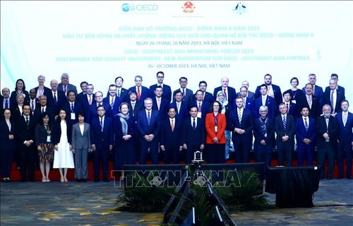 Vietnam, OECD cooperation progresses effectively  - ảnh 1
