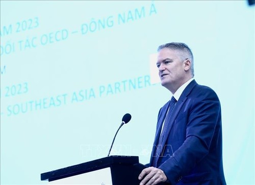 Vietnam, OECD cooperation progresses effectively  - ảnh 2