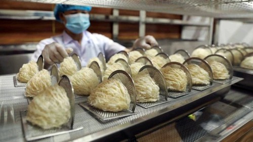 Vietnam exports first bird’s nest products to China - ảnh 1