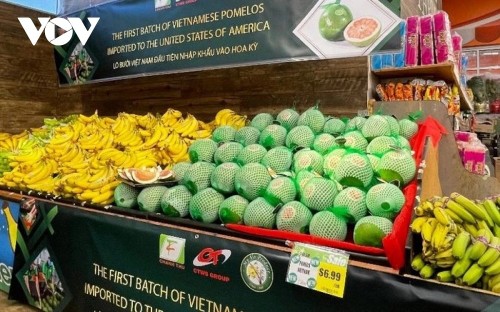 Vegetable, fruit exports set to earn 5.6 billion USD in 2023 - ảnh 2