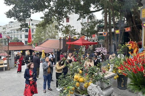 New Year pilgrims flock to pagodas on New Year holiday - ảnh 1