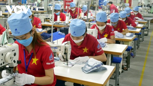 Apparel sector sees positive signs - ảnh 1