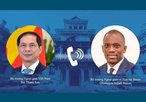 Vietnam values traditional friendship, cooperation with Benin: FM - ảnh 1