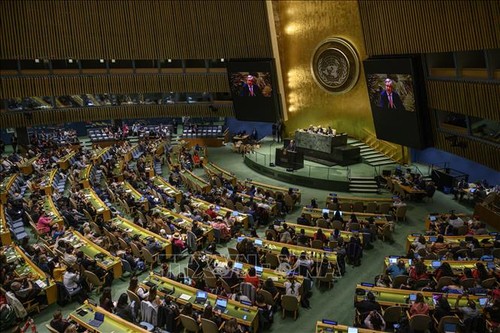 UN General Assembly debates veto right at UNSC  - ảnh 1