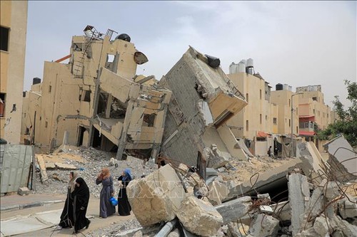 Israel urges people in Rafah to evacuate - ảnh 1