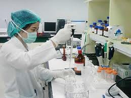 Vietnam to produce H5N1 vaccine in 2013 - ảnh 1